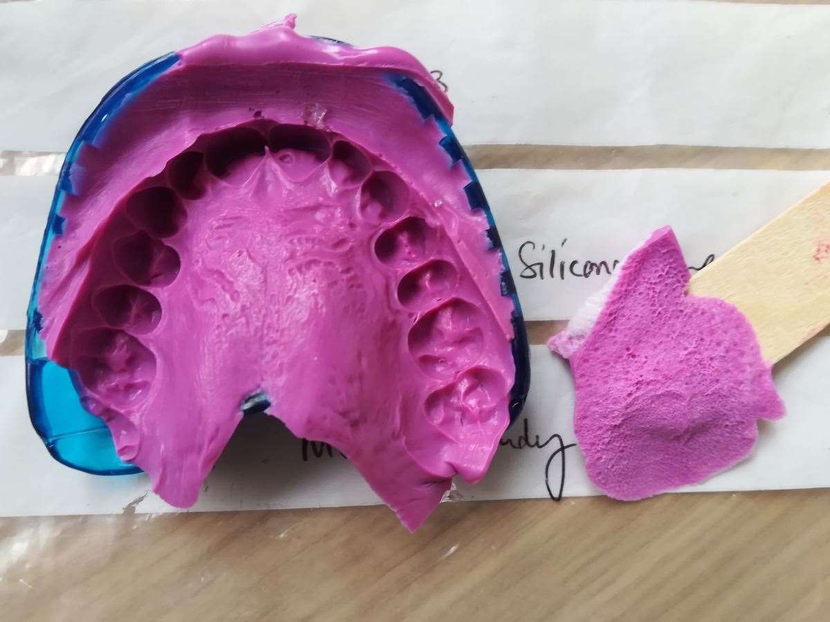 Silicone impressions of human palate and tongue (Anwesha Sakar/University of Leeds/PA)