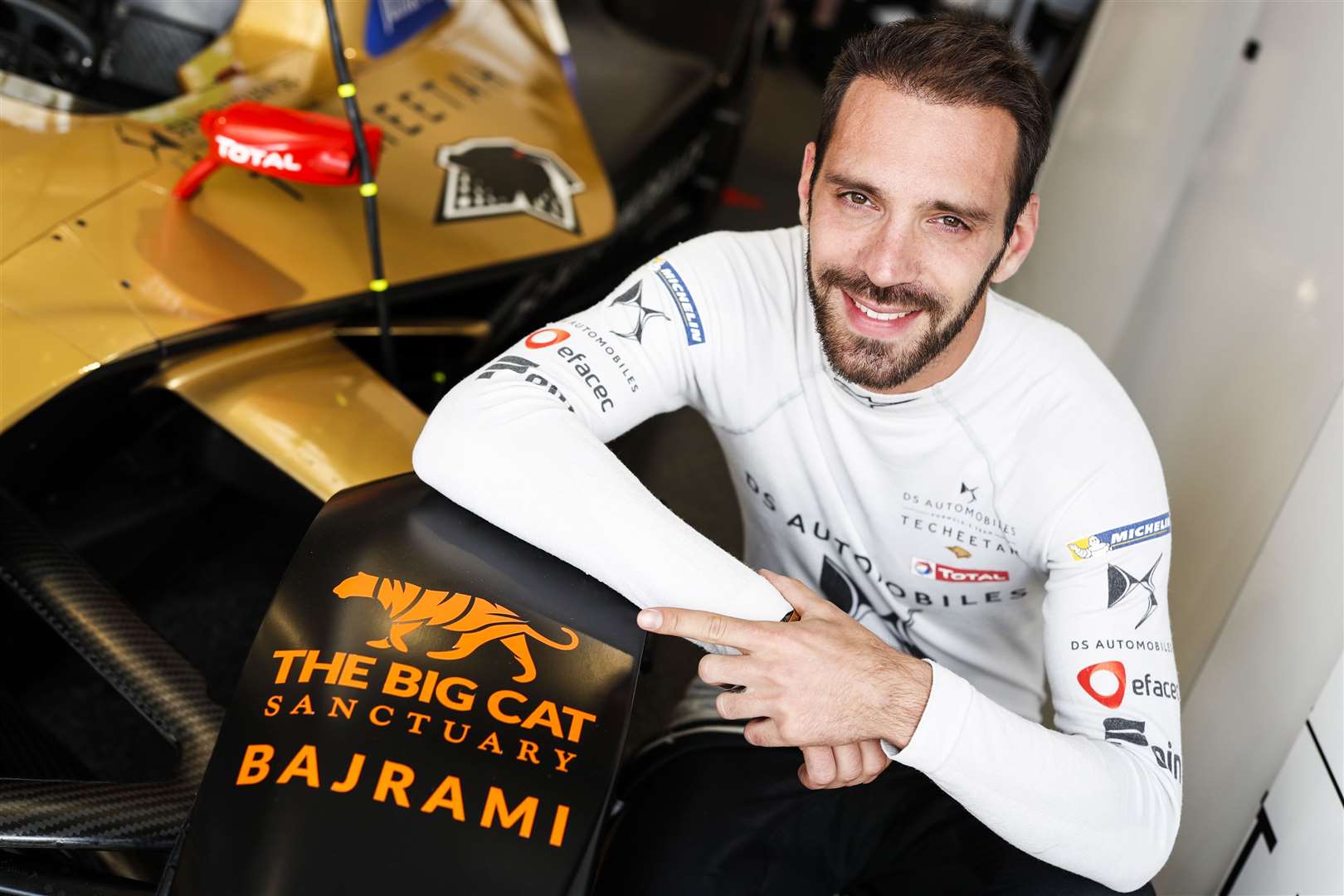 Jean Eric Vergne’s race car was named after the cheetah. Picture: Sam Bloxham