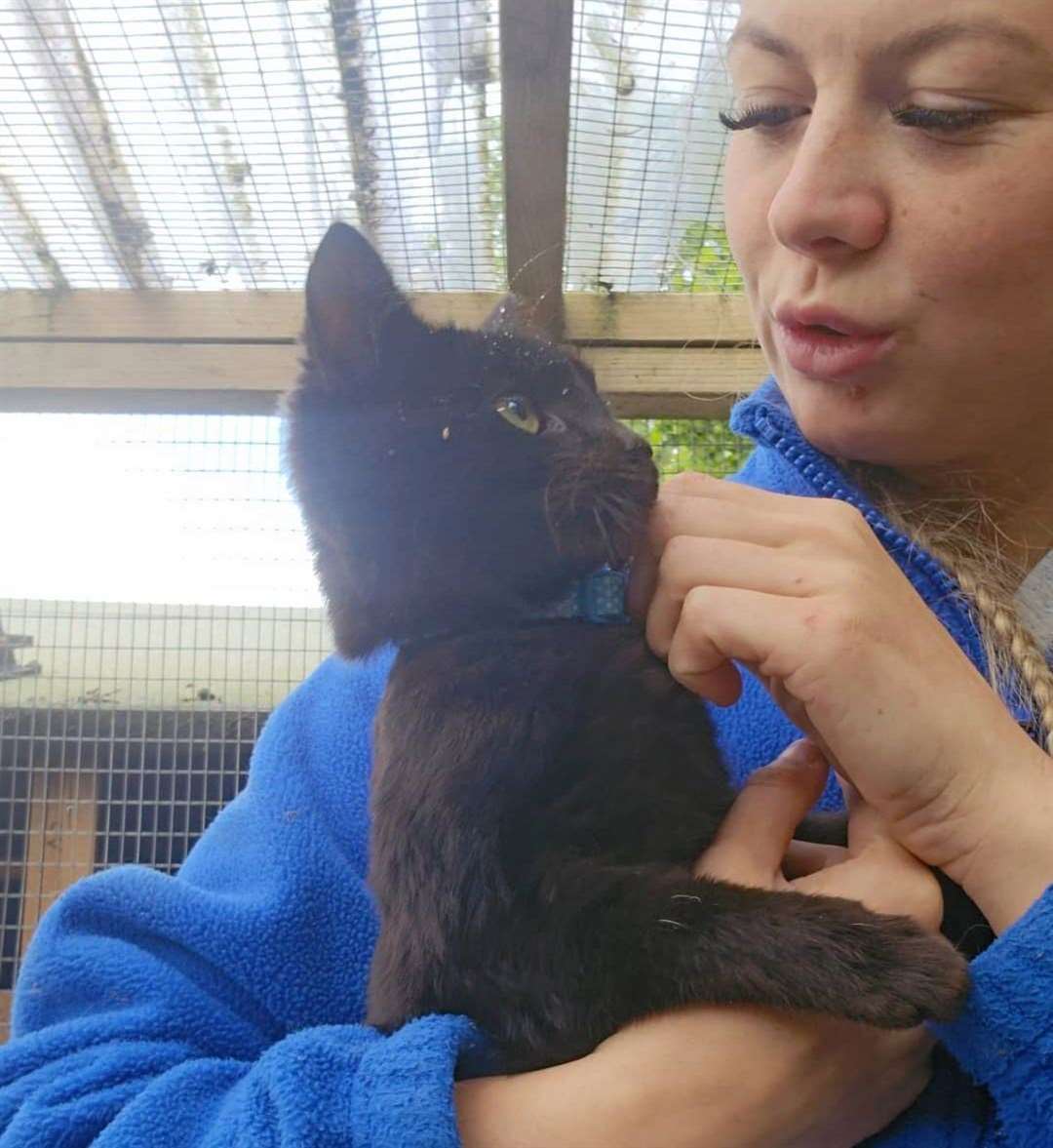Elise Bradley from Safe Haven Animal Rescue in Sevenoaks with one of the rescued kittens. Picture: Safe Haven Animal Rescue