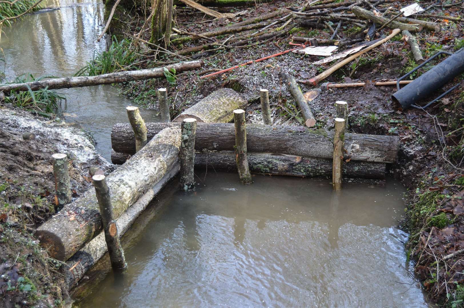 Leaky Dams in Tudely Woods (30318041)