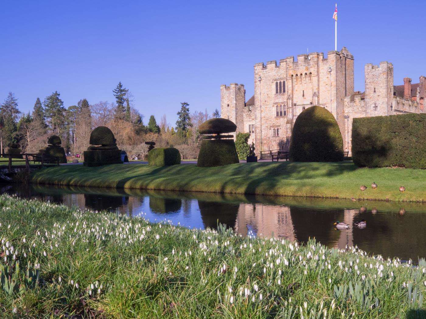 Spring blooms will soon be on display at Hever Castle