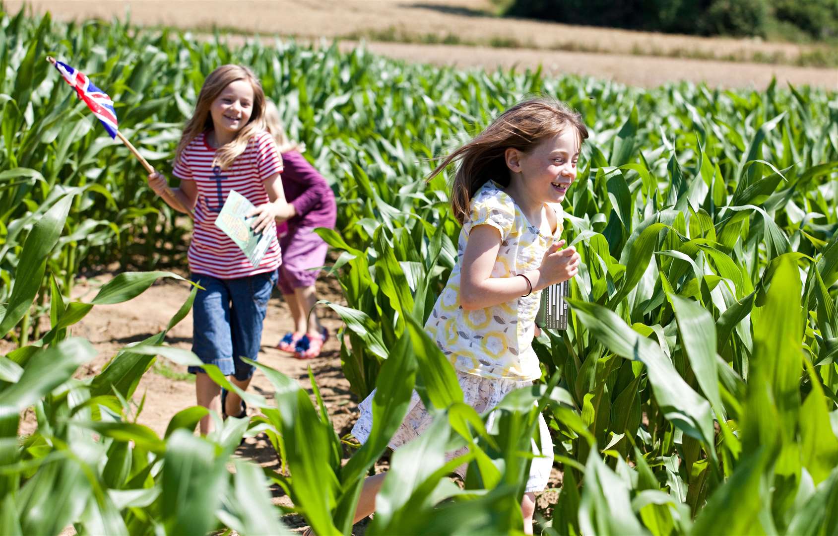 The Maize Maze at Penshurst Place