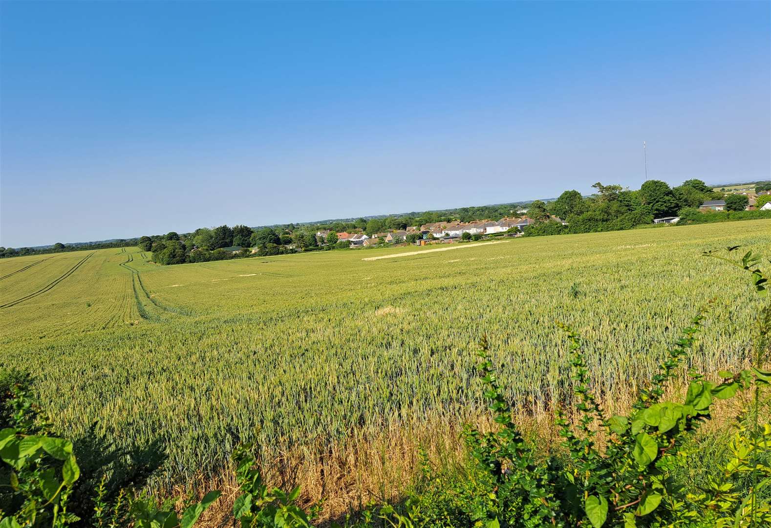 The development is planned for this farmland at Cauldham Lane, Capel-le-Ferne. Houses at Capel Street, on the other side of the planned estate, can be seen in the distance