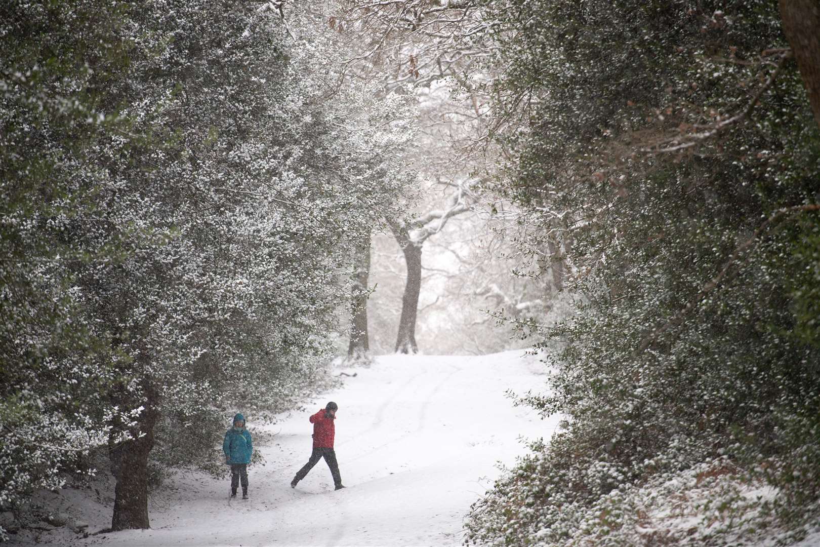 A winter walk in Sutton Park in Birmingham (Jacob King/PA)