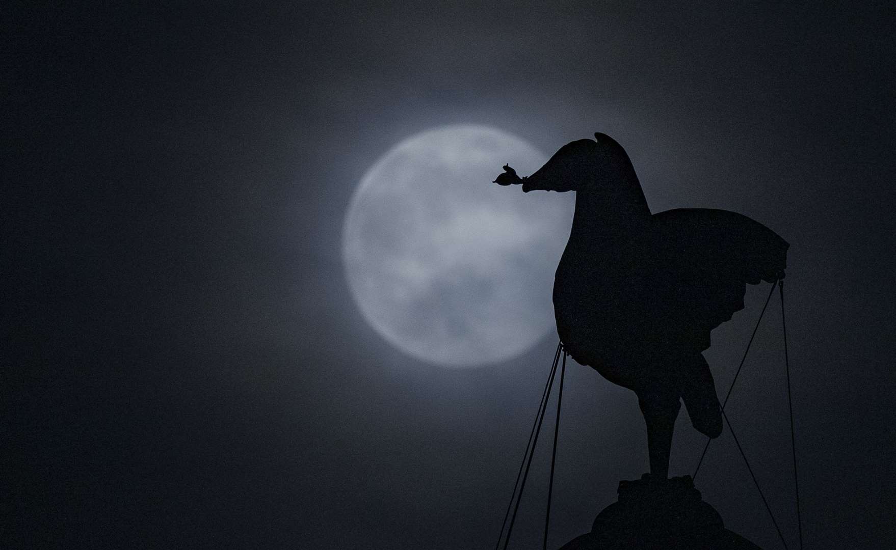 The supermoon rising over The Royal Liver Building in Liverpool (Peter Byrne/PA)