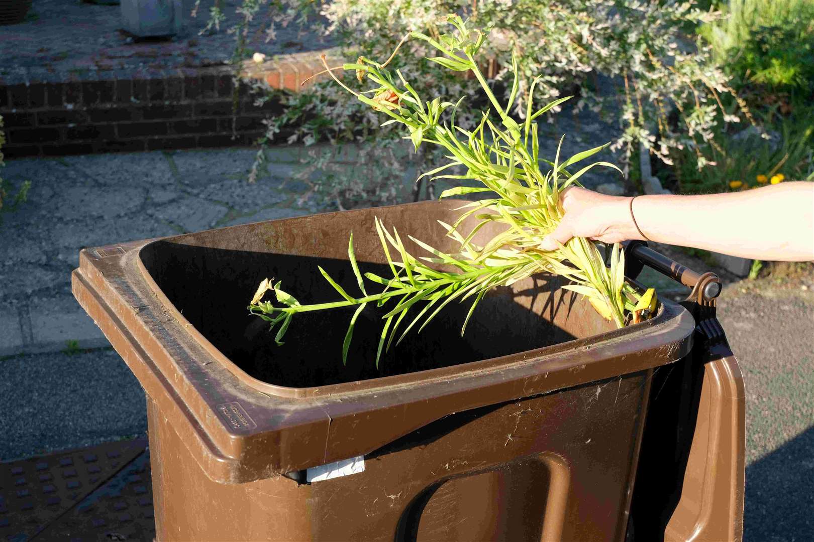 A Maidstone council garden waste bin