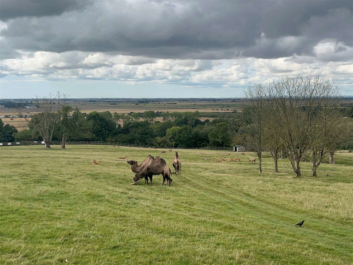 The safari offered some brilliant views, and a chance to get close to the animals.