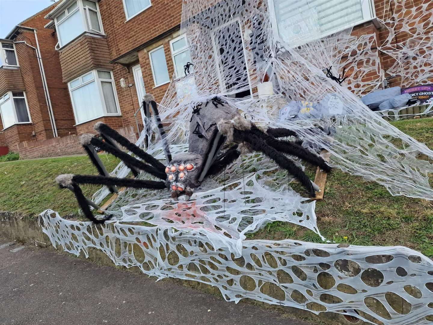 The childminder loves Halloween and says she is a “big kid”. Picture: Liesa Grace