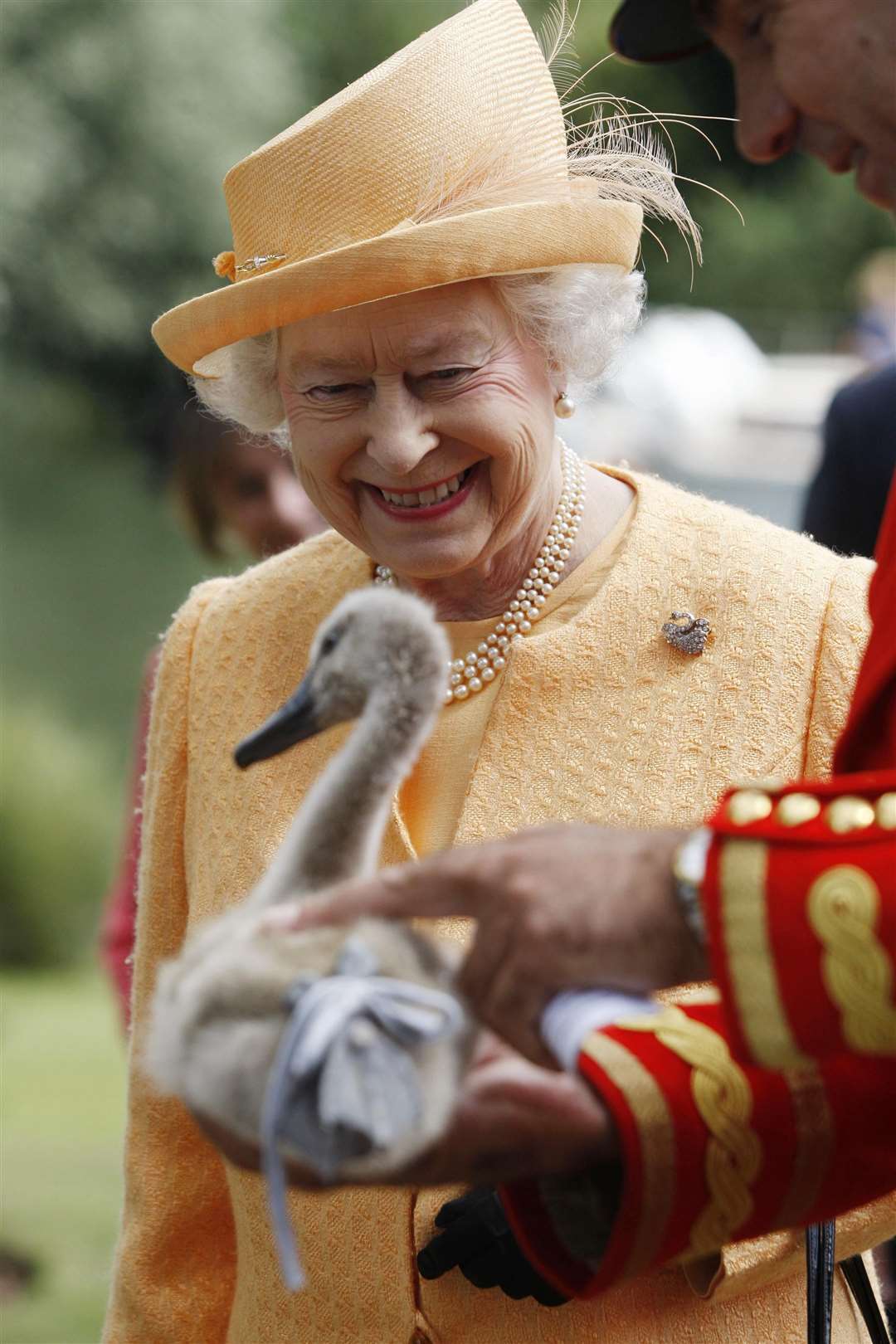 The Queen with a cygnet during the Swan Upping census in 2009 (Sang Tan/PA)