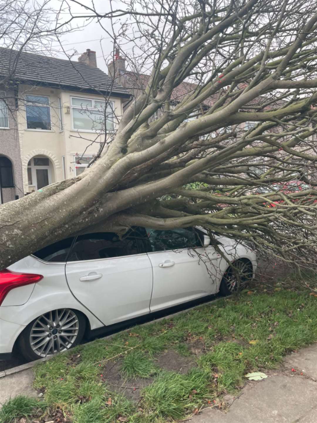 A fallen tree on a car in Wallasey Village, Wirrall (Les Cooper/PA)