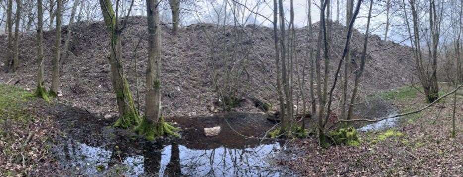 Six nature groups have asked the Secretary of State to approve an immediate clean-up of Hoad’s Wood, near Ashford. Picture: Kent Wildlife Trust