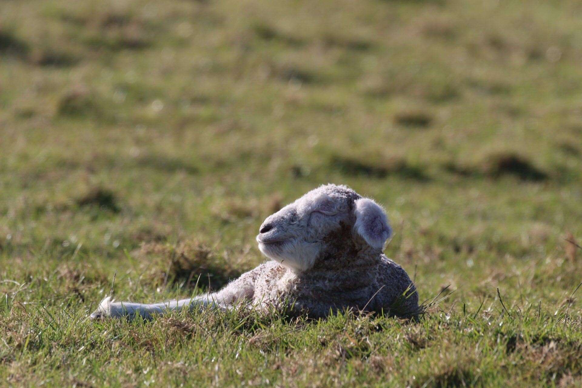 Enjoying the sunshine