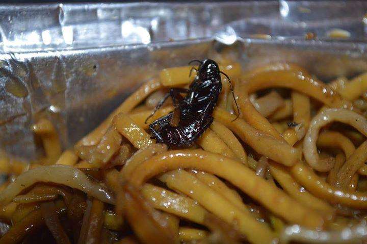 The cockroach allegedly found in a Chinese dish from the Lotus House takeaway