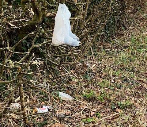 Sometimes items are left hanging on branches