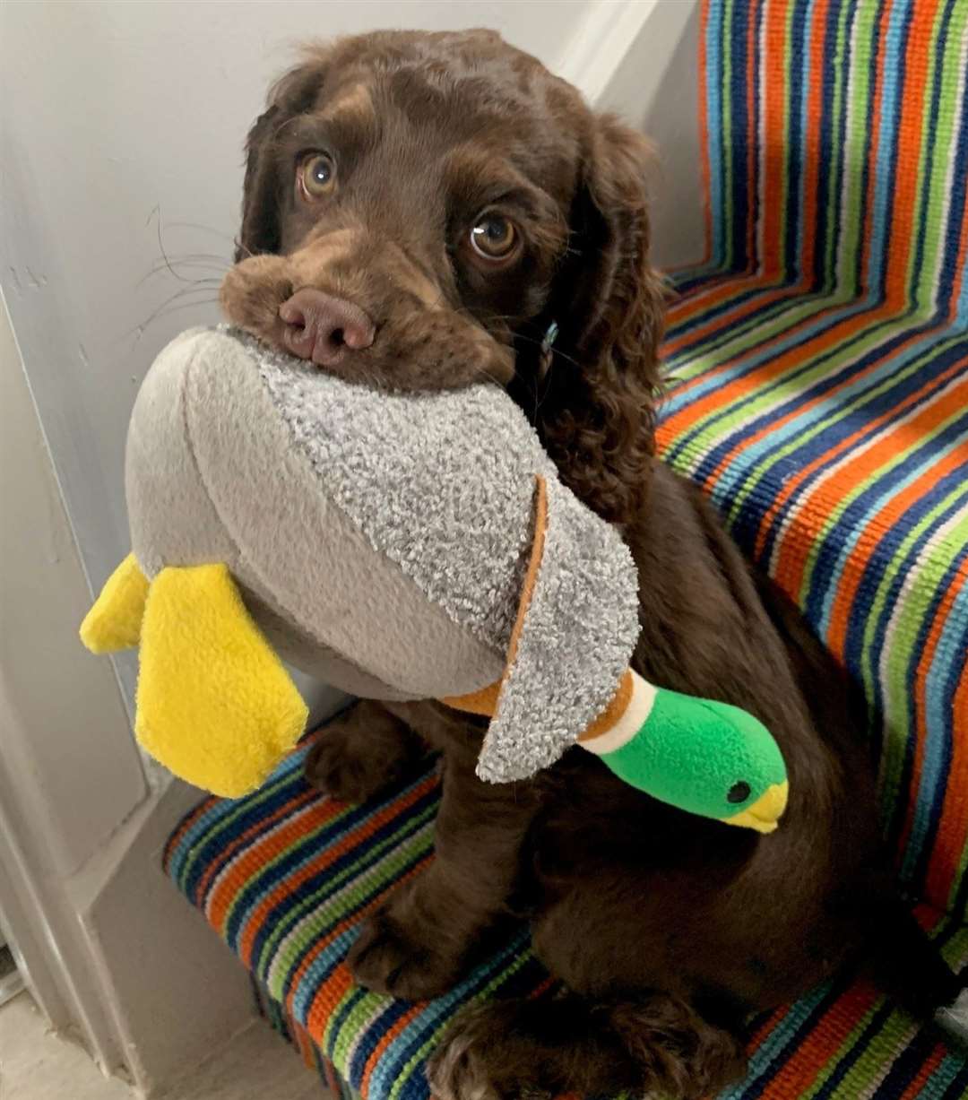 Orla with her cuddly duck