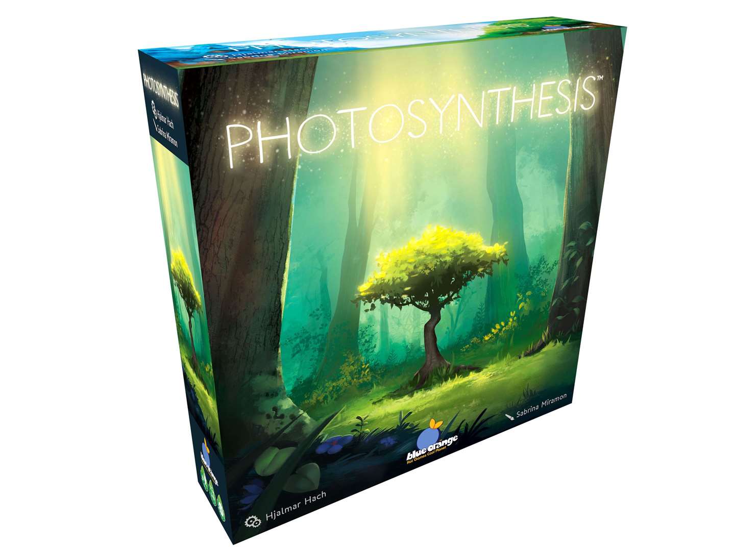 Photosynthesis Picture: PA Photo