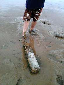 Some of the ordnance which has washed up