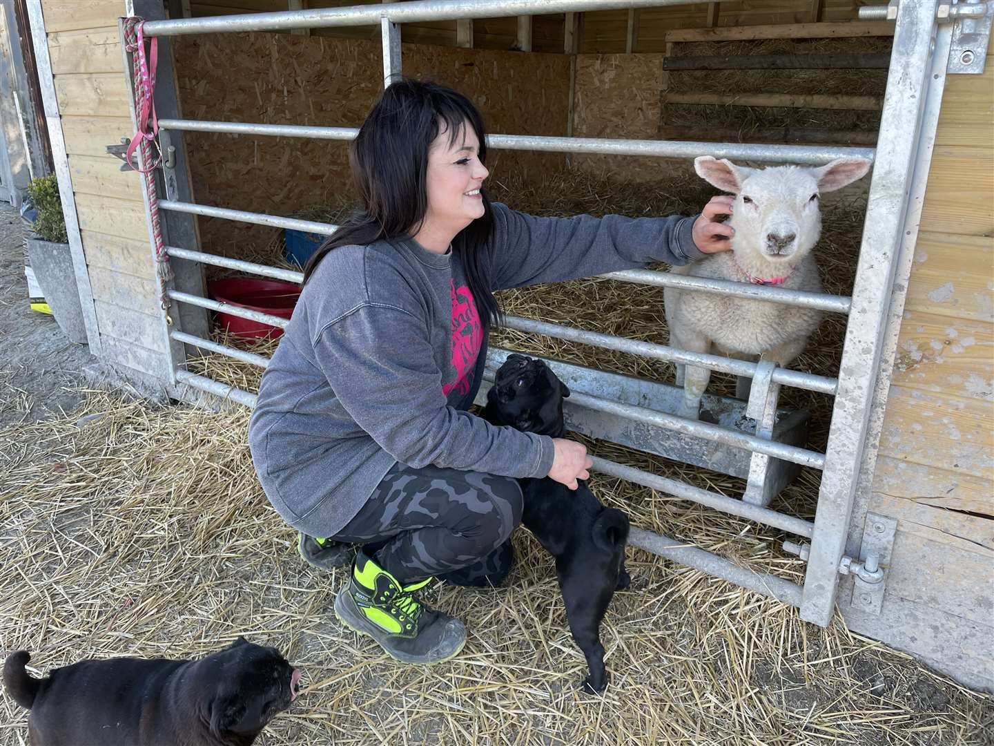 Founder Amey James with one of the sheep she has rescued