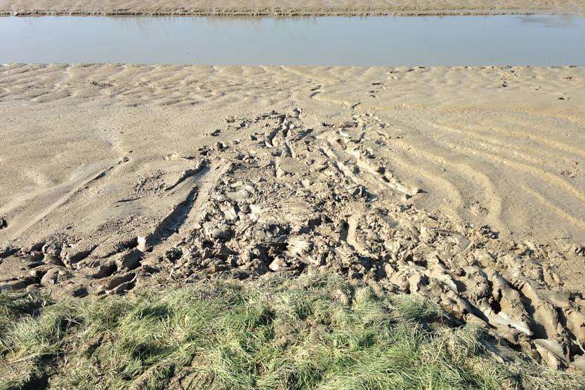 The rescuers' footprints can be seen in the mud. Picture: Bess Browning.