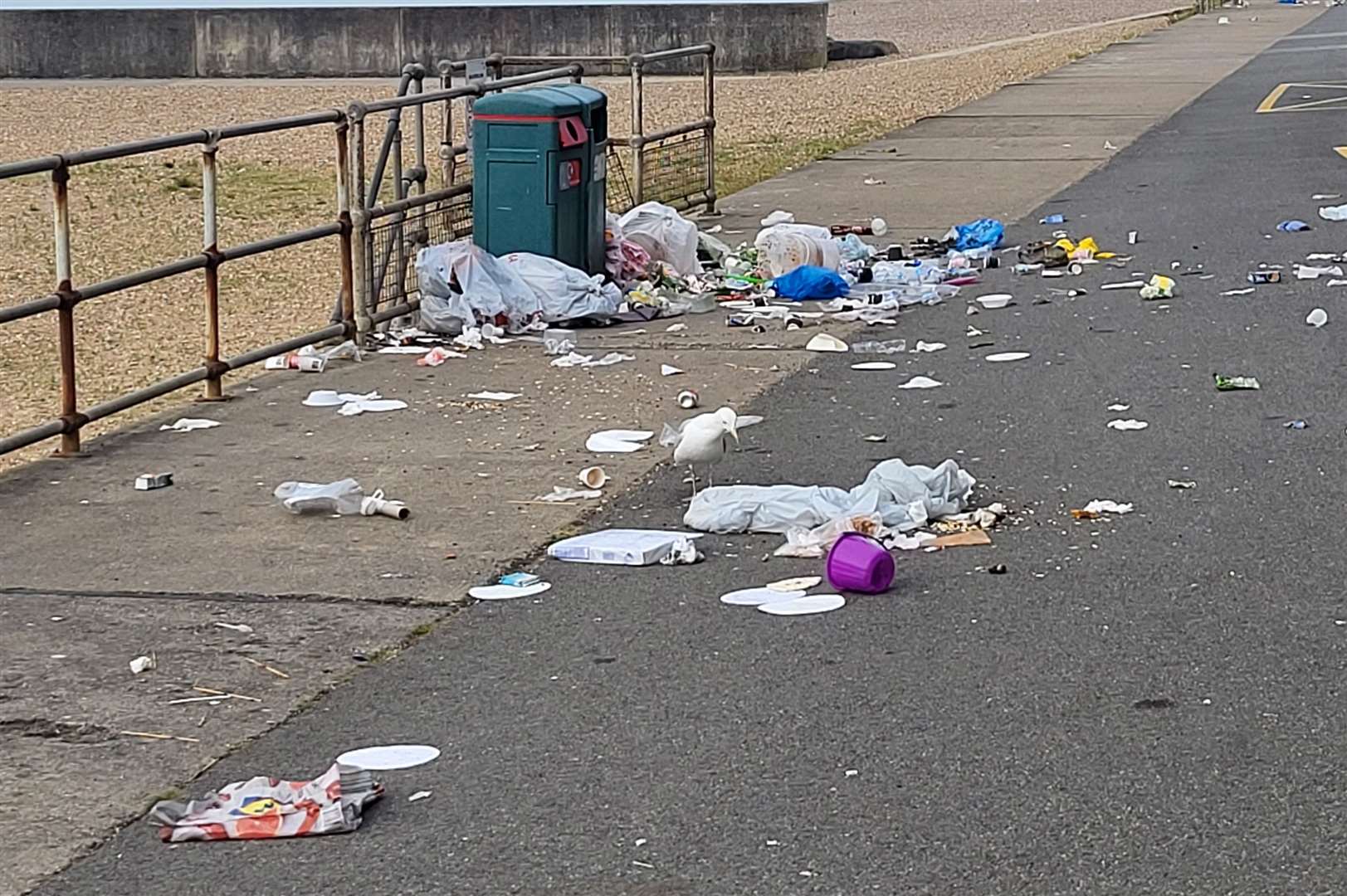 Litter is a perennial problem around the county