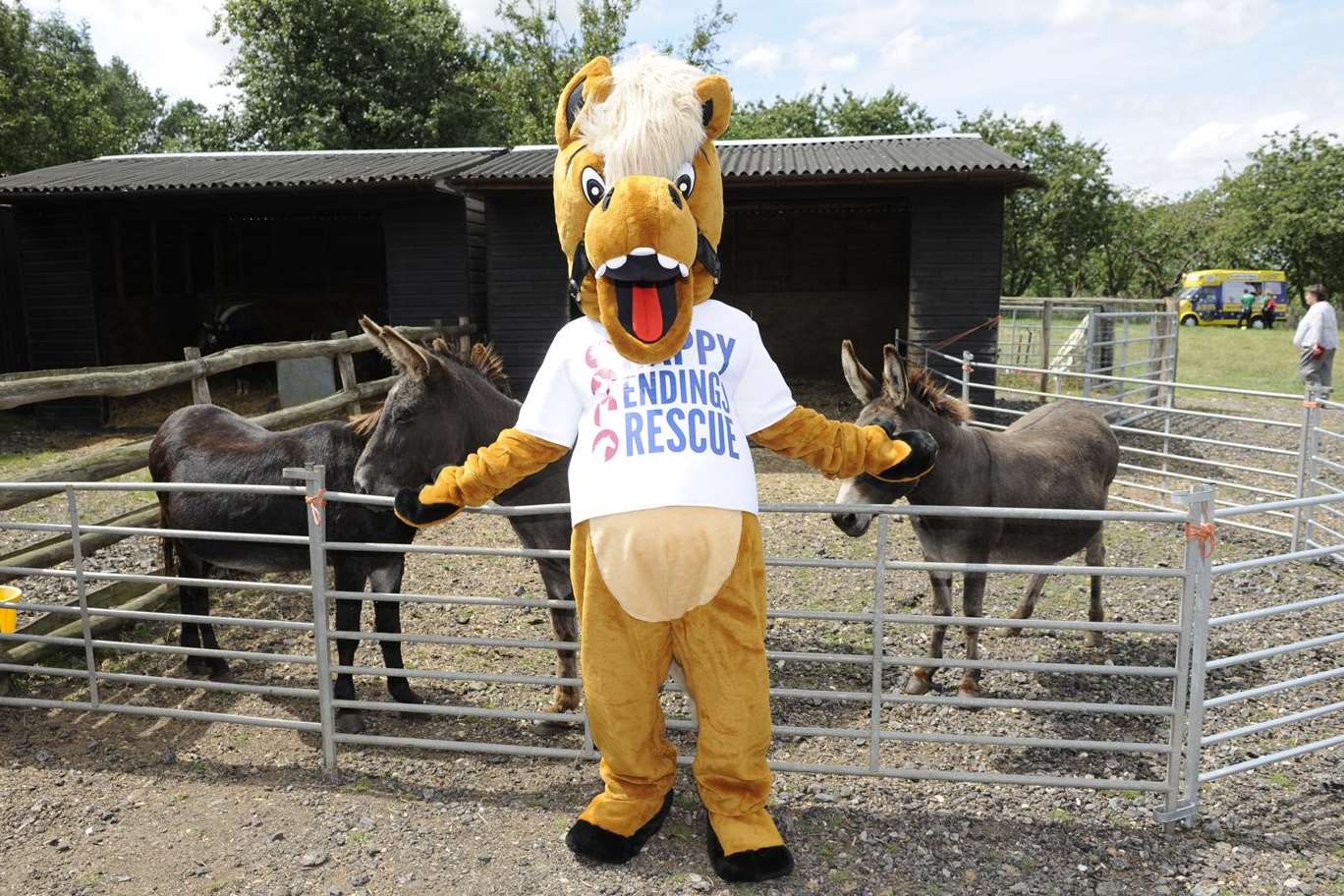 The Happy Endings Rescue mascot at the fun day on Sunday where Picasso was stolen