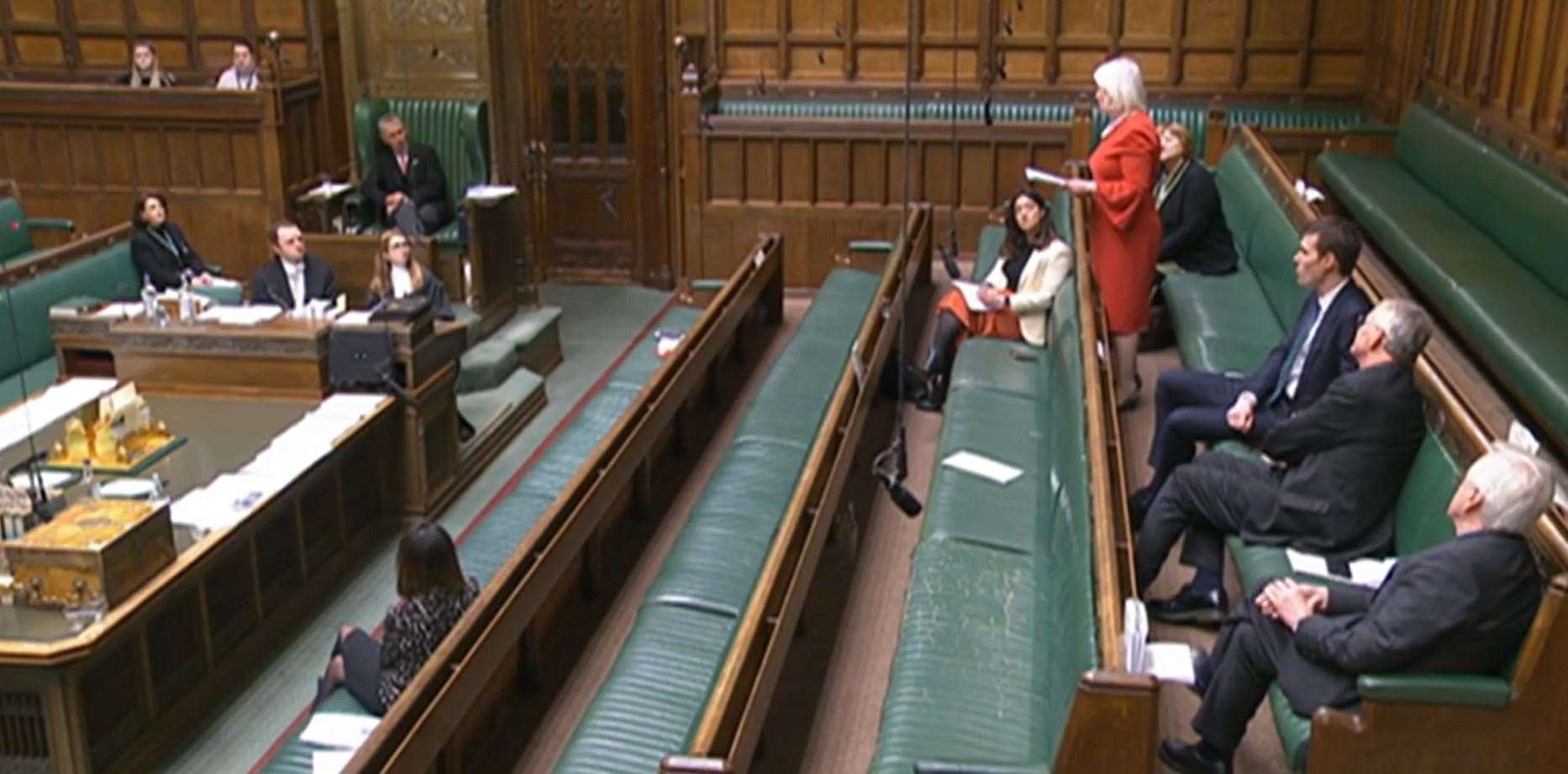 MPs listen to Siobhain McDonagh as she raises the case of her sister Margaret (PA)