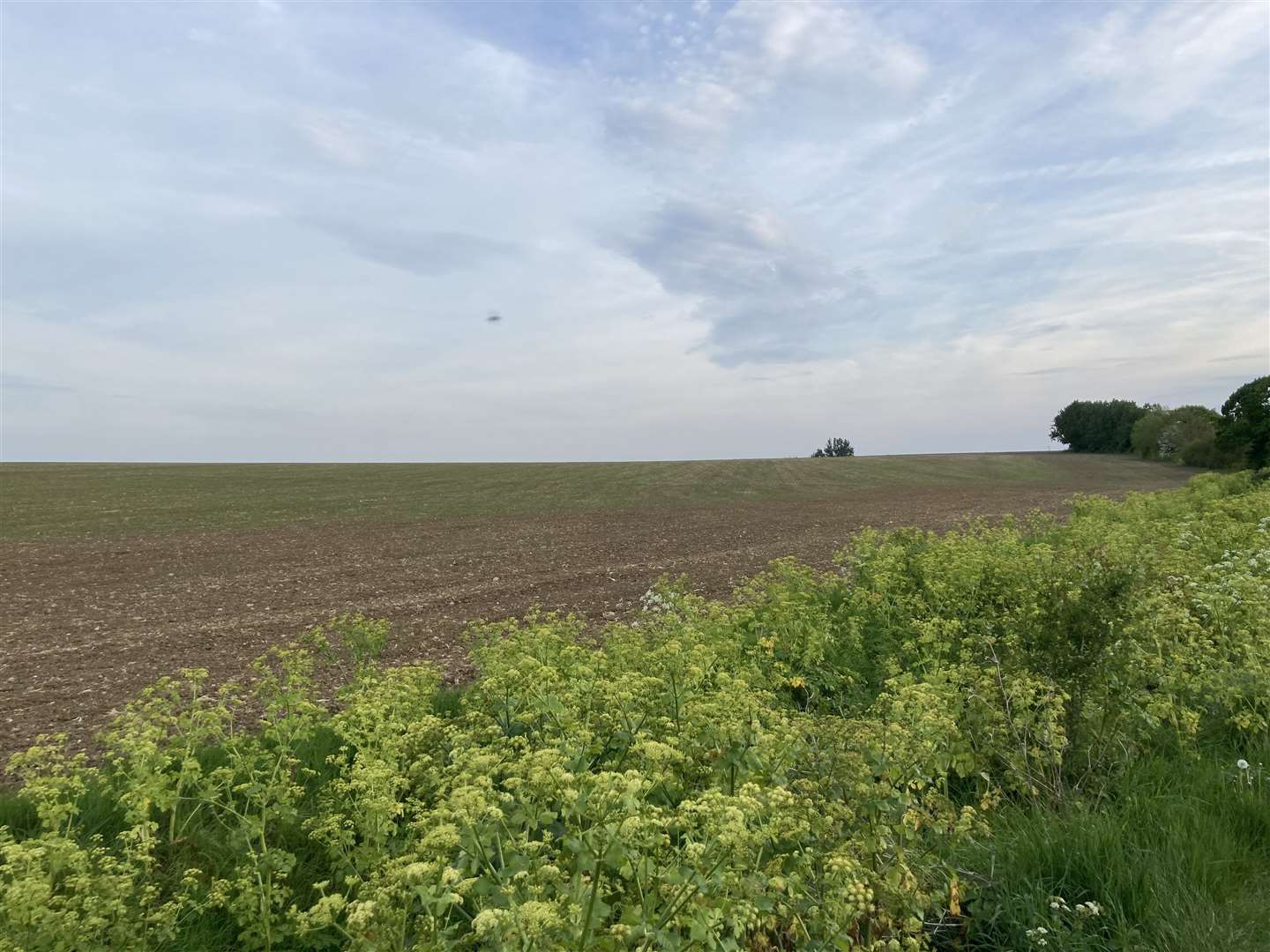 Fields could become a housing estate off Scocles Road