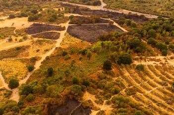 Aftermath of the damage to Dartford Heath following the fire on Sunday, August 14. Picture: Paul Woody