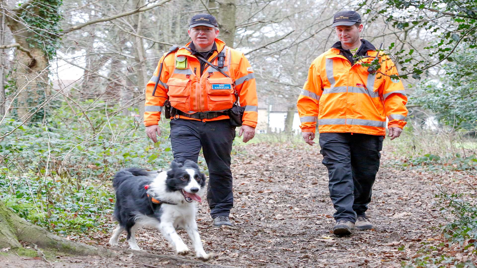 impact-of-search-and-rescue-dog-teams-hill-s-pet