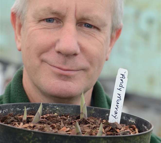 Paul Harris is launching the new Hosta Andy Murray at the Chelsea Flower Show