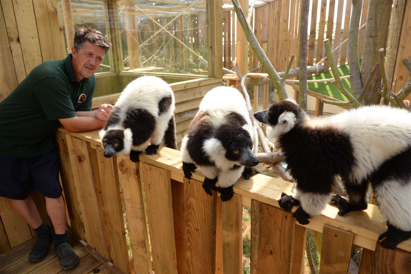 Lemurs in their enclosure at the Fenn Bell Inn