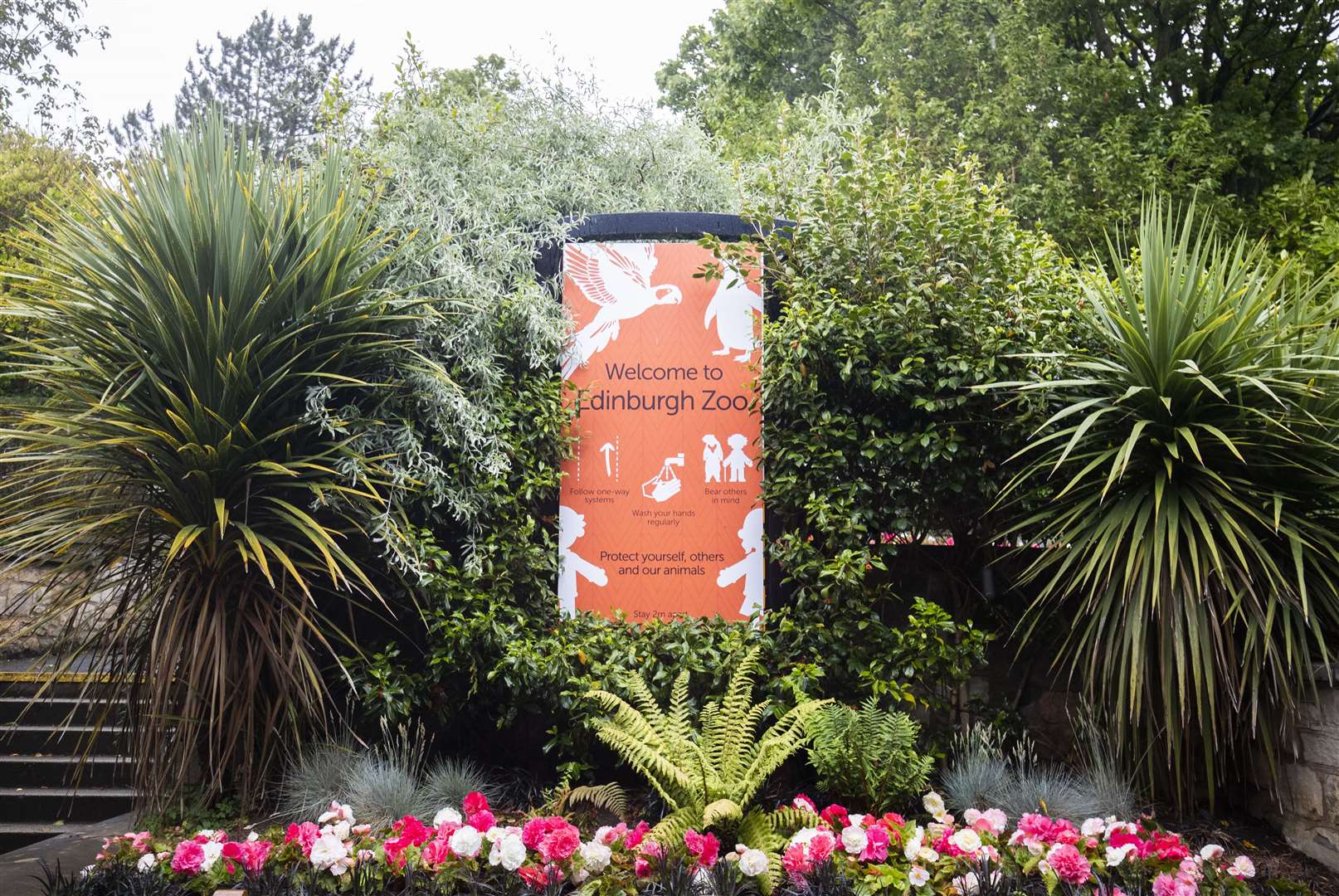 Meanwhile, visitors at Edinburgh Zoo were reminded of coronavirus precautions (Jane Barlow/PA)