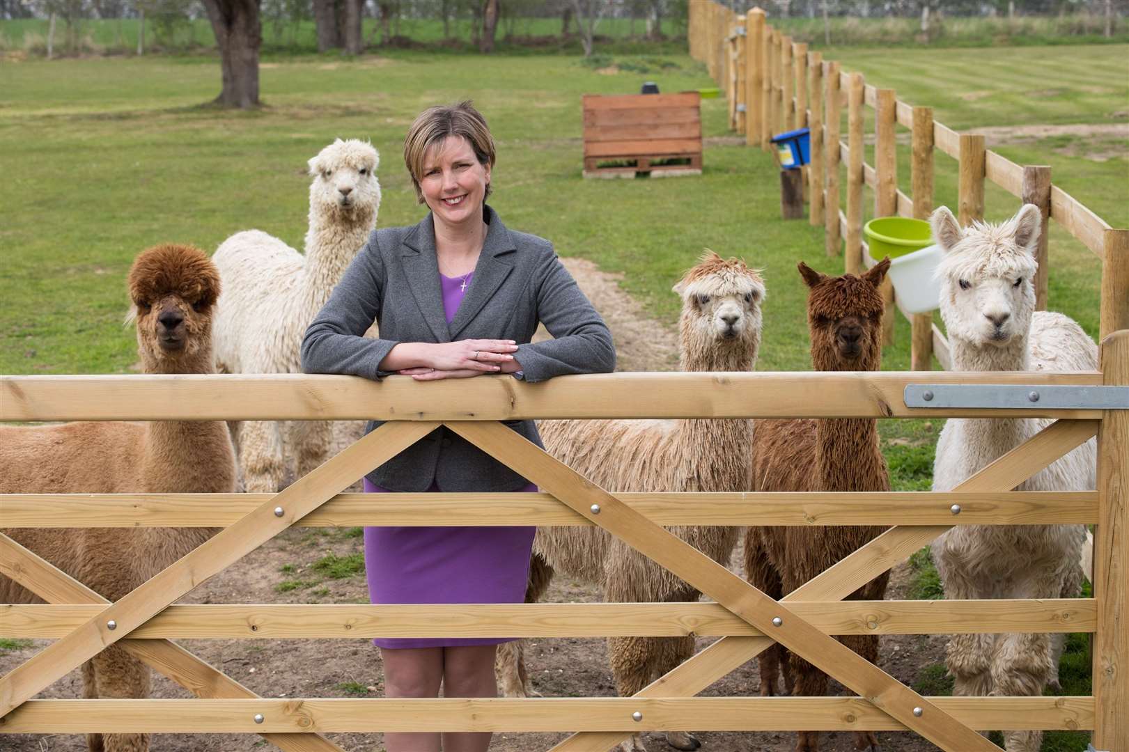 Claire Sweet and her alpacas (13209361)