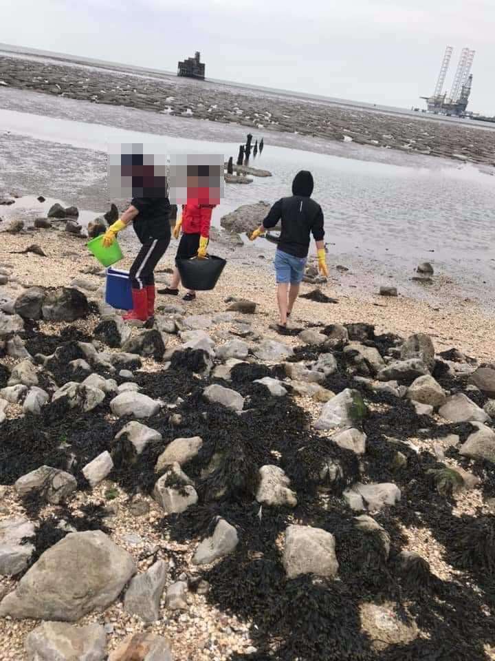 Groups of shellfish pickers spotted on the beach in Grain on Sunday has sparked concerns it is "raping and pillaging" the ecosystem. Picture: Becky Craggs