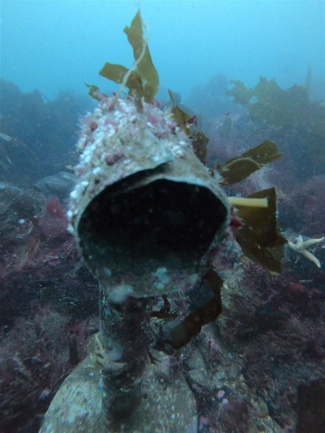 The wreck is located at a depth of around 12 metres (Wessex Archaeology, Copyright Historic Environment Scotland/PA)