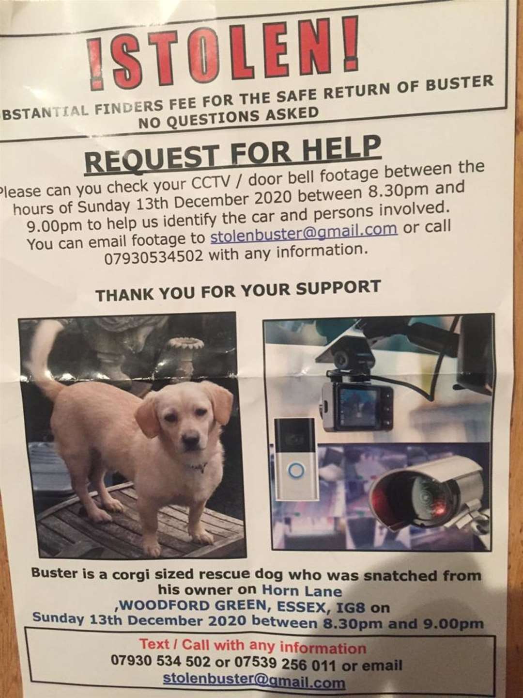 An appeal poster for the safe return of Buster (Handout/PA)