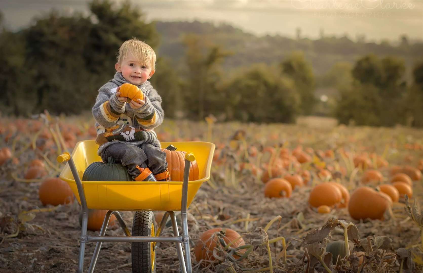 Pumpkin Moon has three sites to choose from