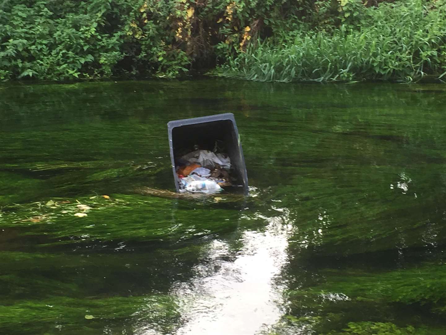 Once bins are thrown into the River Stour in Canterbury, its contents pour out and into the water