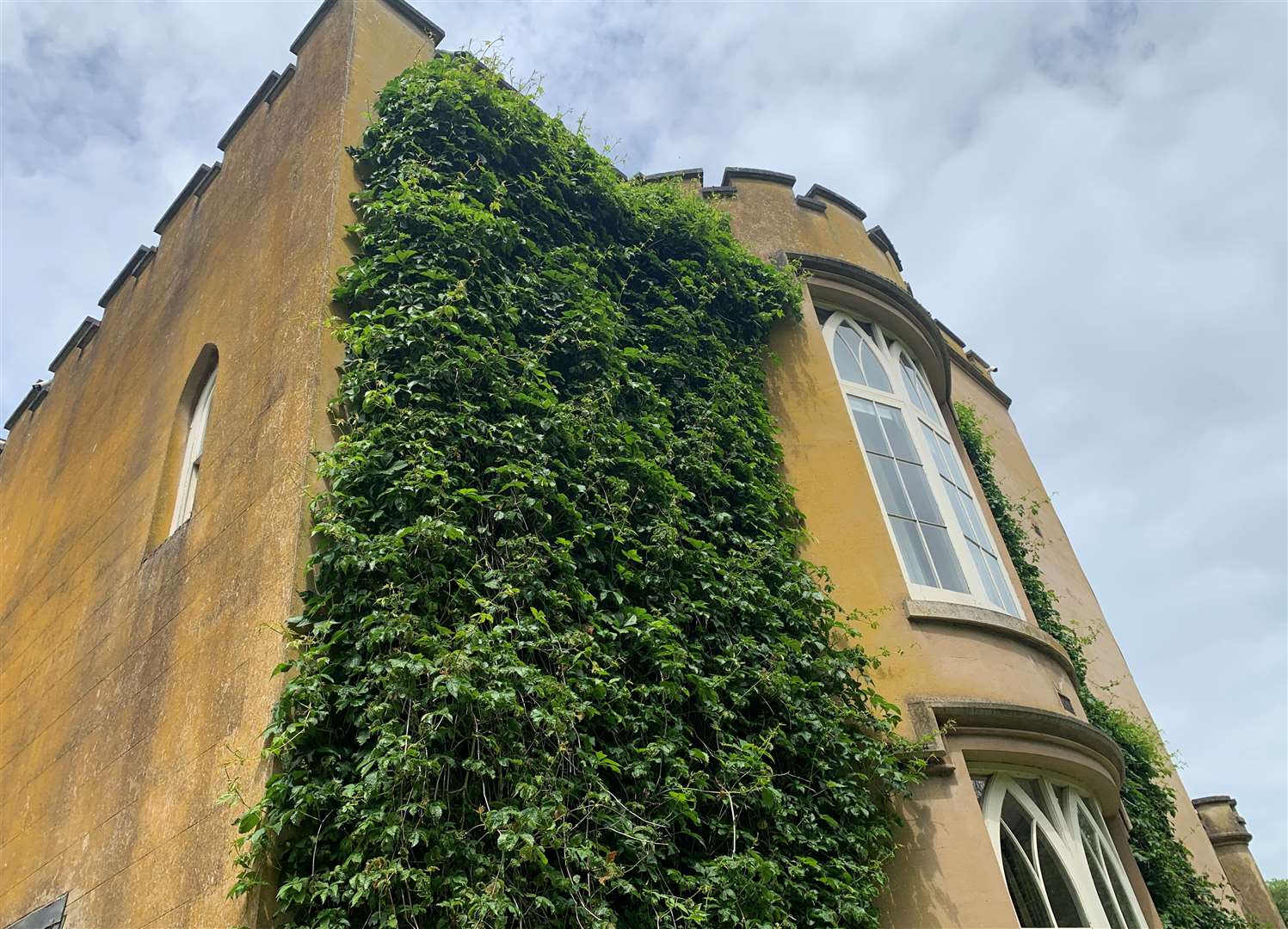 Crawling vines cover walls at Oxney Court near Dover