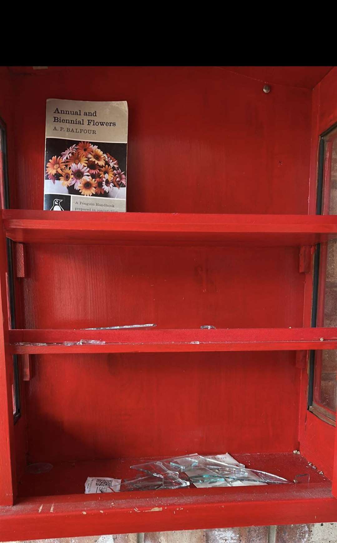 The doors wer pulled off one bookshelf in the library. Picture: Lydden Village Community Group
