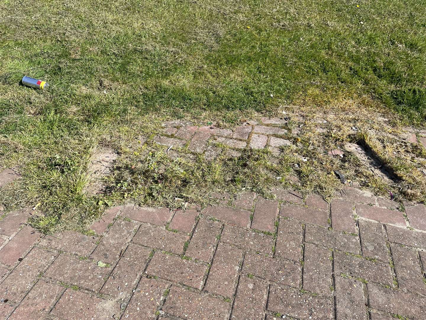 Two benches have been removed from a green space in Stanhope