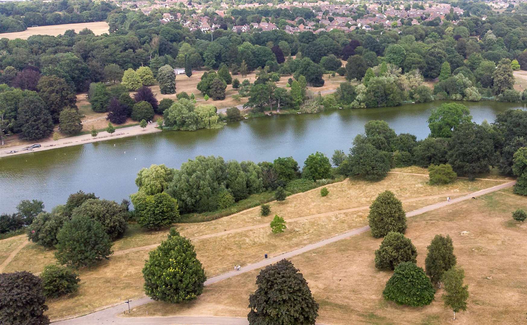 The lake in Mote Park, Maidstone where Mrs Carter could have lost her life