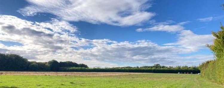 The field where the planned new Chapel Down winery would go