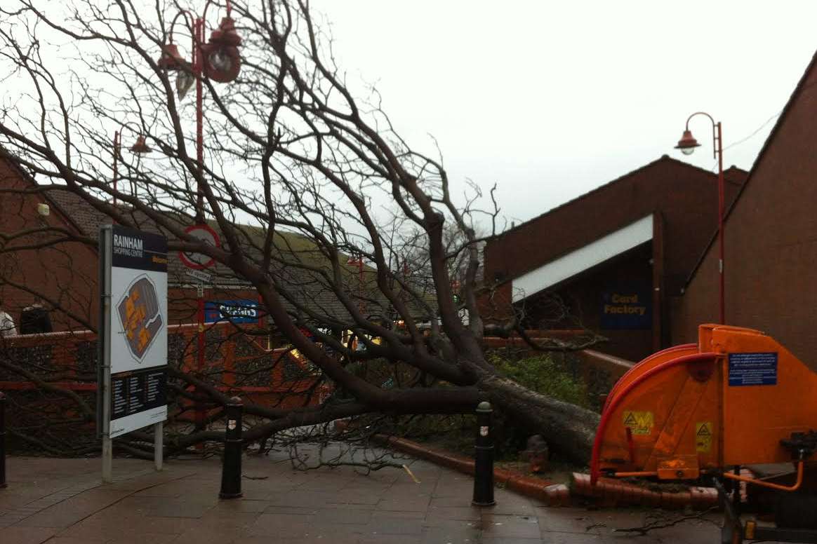 The path at Rainham shopping precinct was blocked by a fallen tree