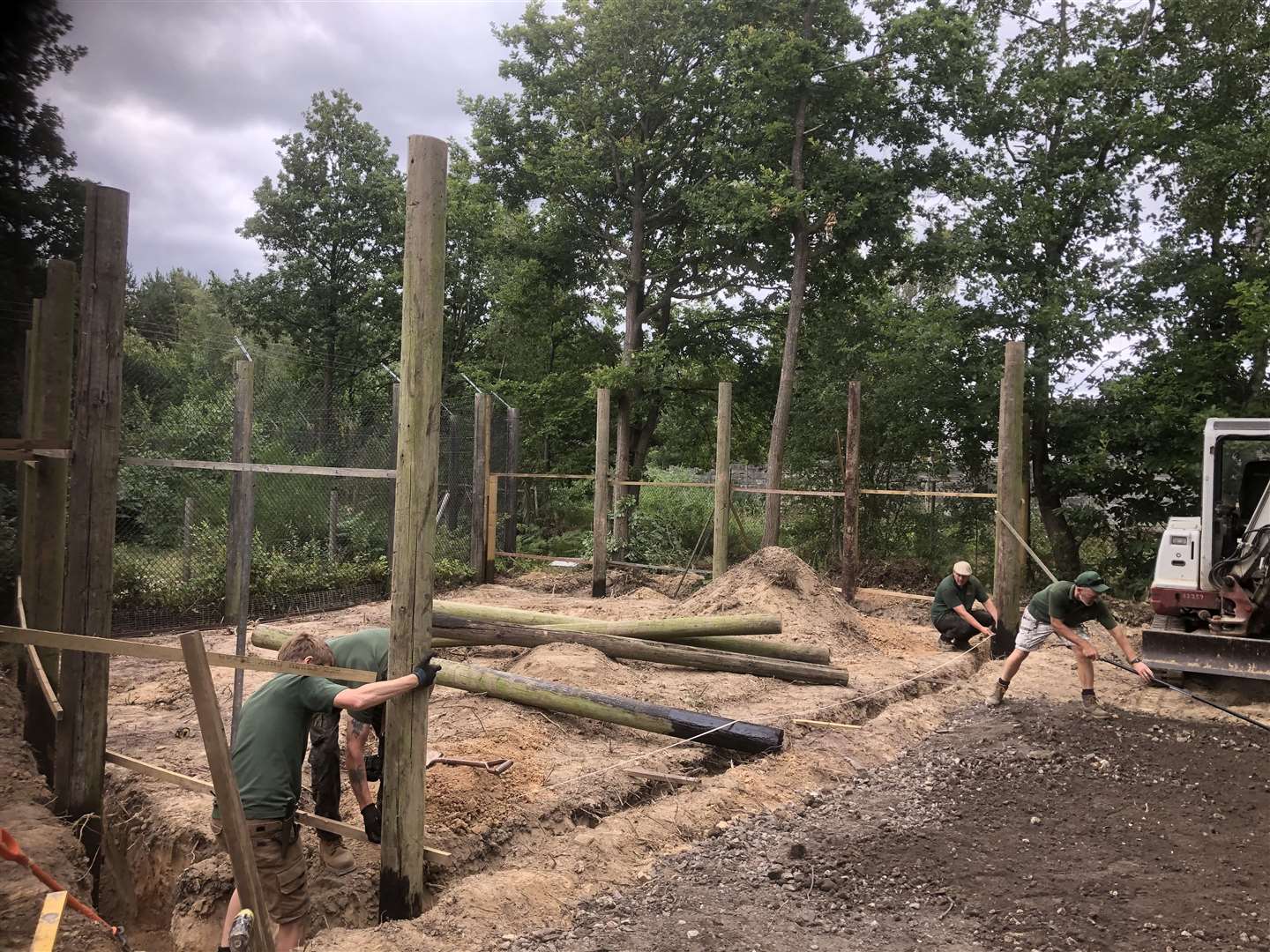 Construction of the cubs' new home at Wildwood in Kent is underway. Picture: Wildwood Trust