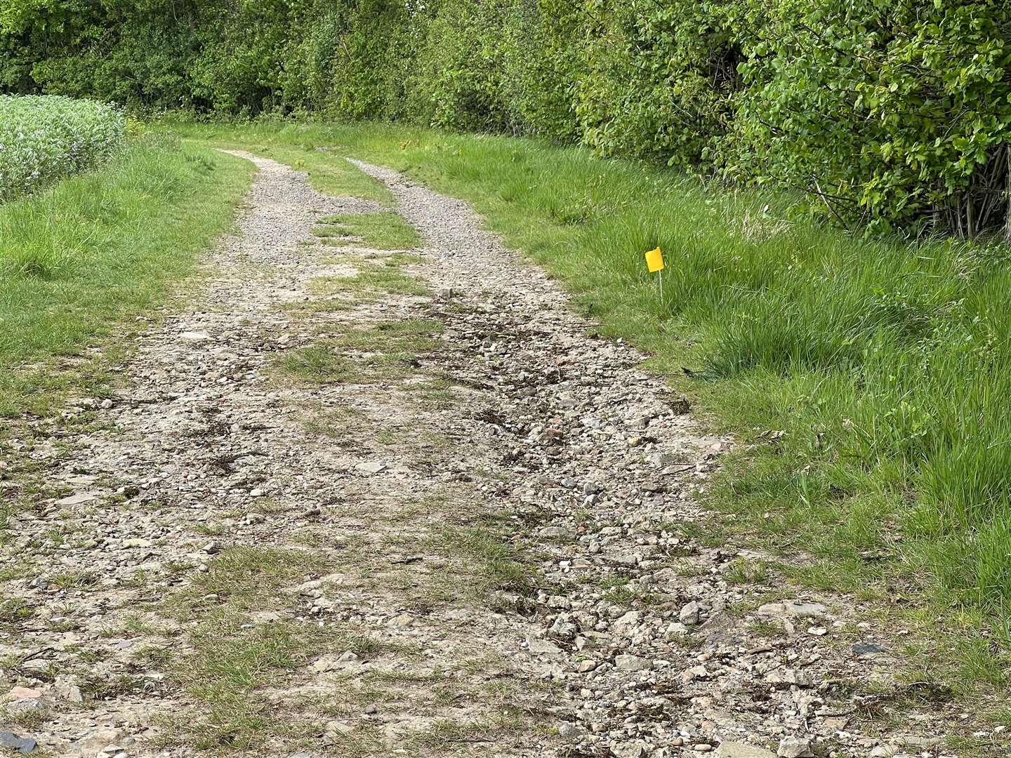 Jurors yesterday visited the spot where PCSO Julia James was found, marked by a yellow forensics flag. Picture: Barry Goodwin KMG