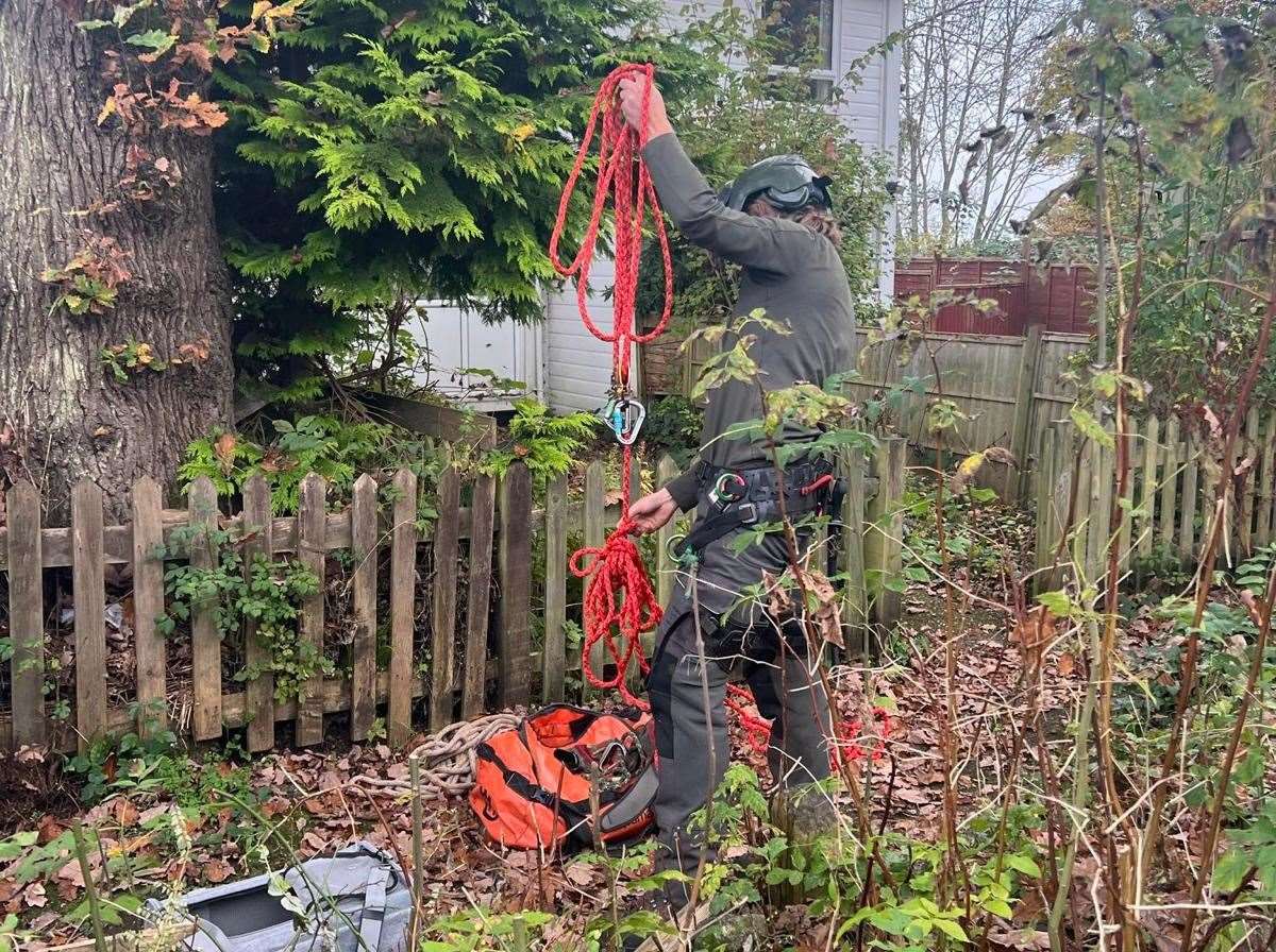 Marco Boffa the tree surgeon used ropes and a harness instead of a ladder. Picture: Tracy Bosman