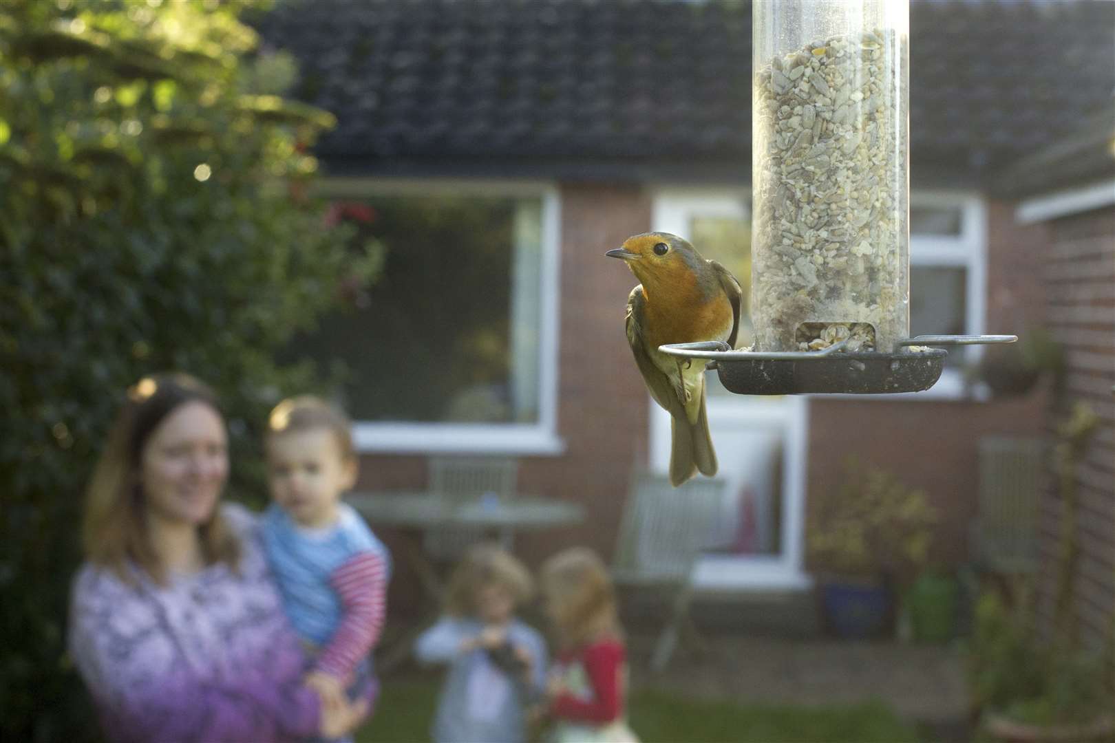 A record number of people took part in this year’s birdwatch (Ben Hall/RSPB/PA)