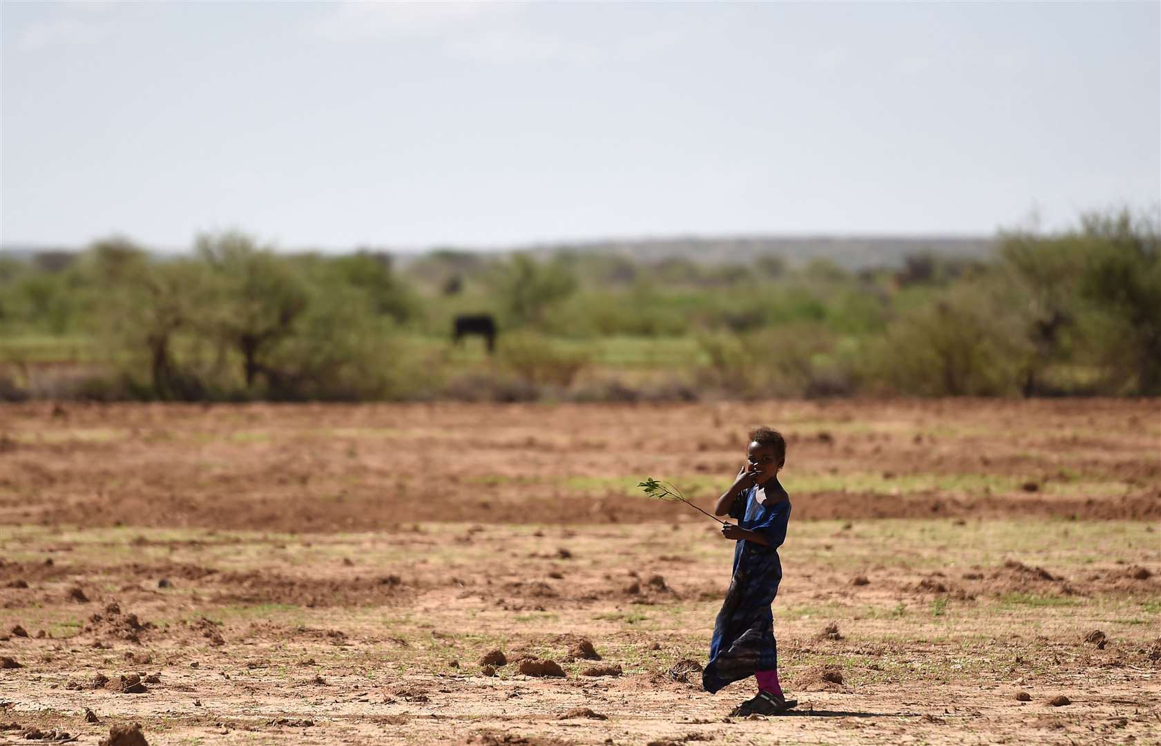 People worldwide are increasingly at risk from drought and heatwaves, report warns (Joe Giddens/PA)