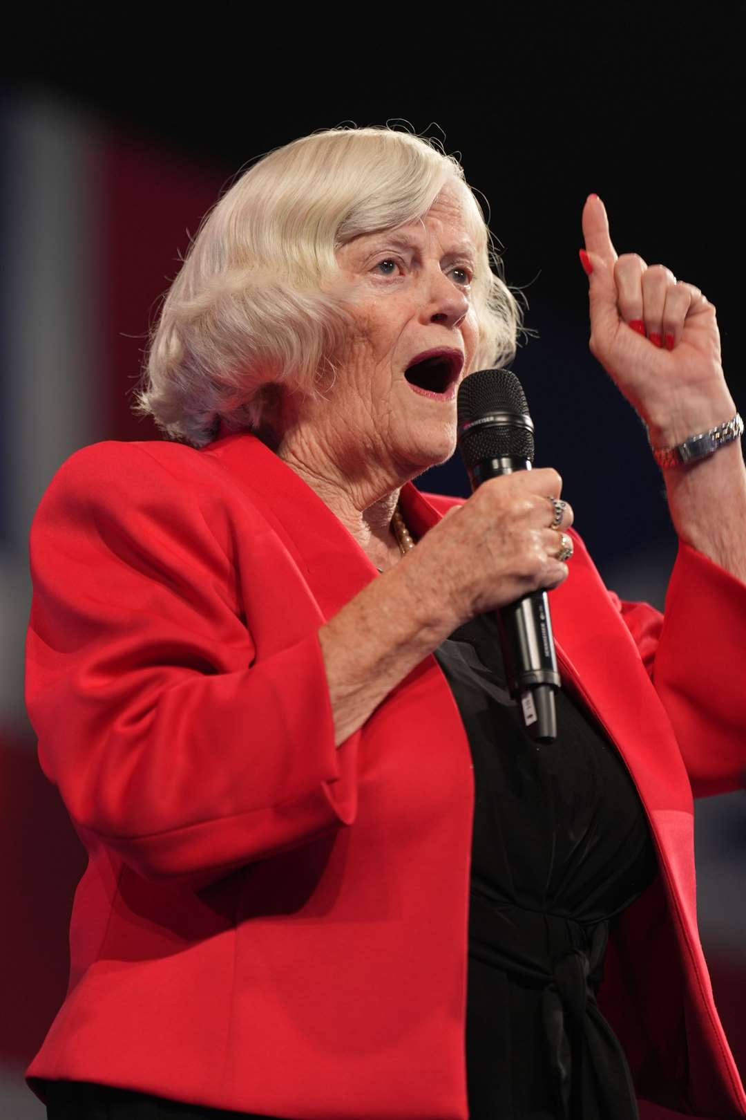 Reform spokeswoman Ann Widdecombe once proposed taking over a disused holiday camp in response to prison overcrowding (Joe Giddens/PA)